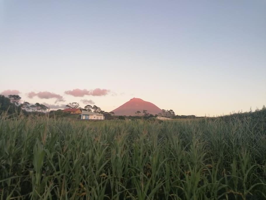 Dream View In Pico Villa Criacao Velha Екстериор снимка