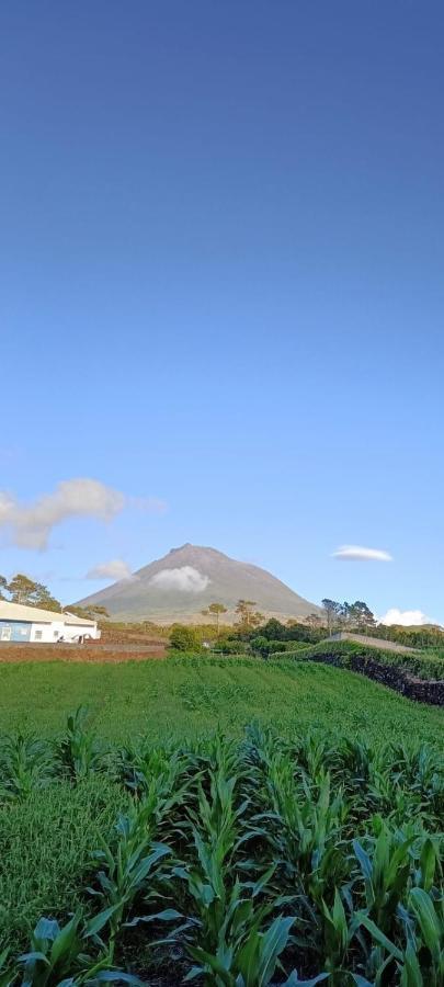 Dream View In Pico Villa Criacao Velha Екстериор снимка